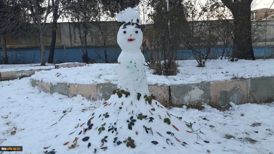 به مناسبت استقبال از بزرگداشت دهه فجر و شادی و شکر گذاری  از بارش نزولات آسمانی برگزار شد :
مسابقه ساخت آدم برفی 7