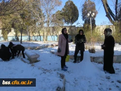 به مناسبت استقبال از بزرگداشت دهه فجر و شادی و شکر گذاری  از بارش نزولات آسمانی برگزار شد :
مسابقه ساخت آدم برفی 6