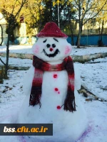 به مناسبت استقبال از  دهه فجر و شادی و شکر گذاری  از بارش نزولات آسمانی برگزار شد :
مسابقه ساخت آدم برفی 4