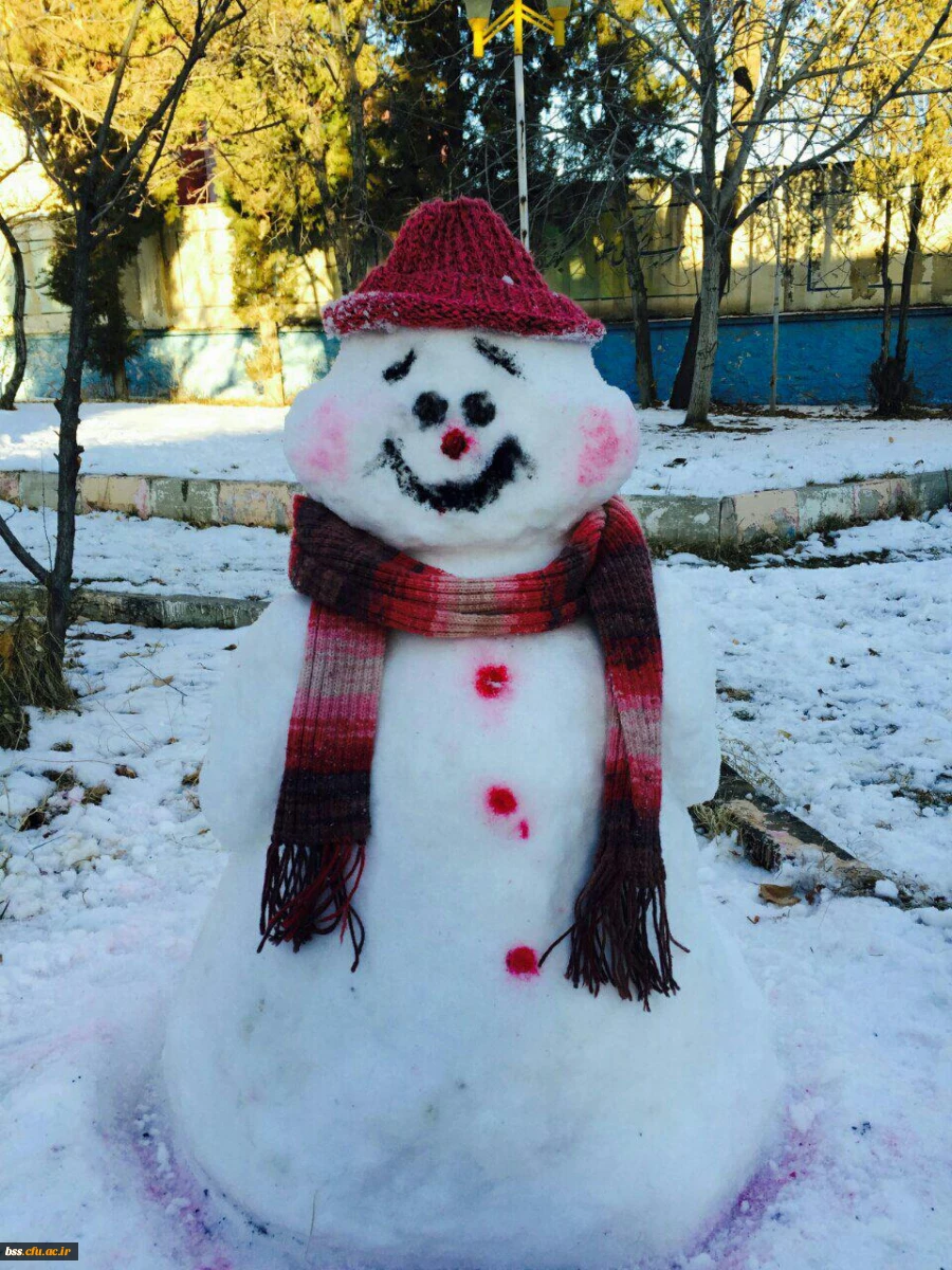 به مناسبت استقبال از  دهه فجر و شادی و شکر گذاری  از بارش نزولات آسمانی برگزار شد :
مسابقه ساخت آدم برفی 4