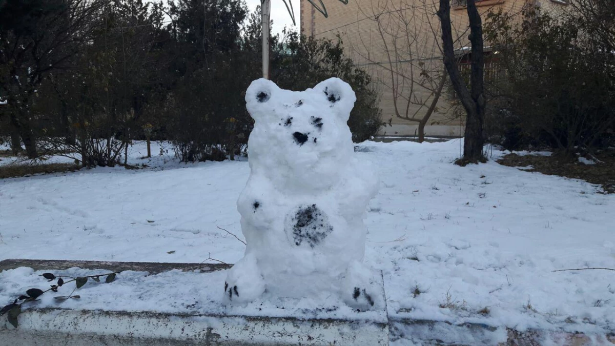 به مناسبت استقبال از  دهه فجر و شادی و شکر گذاری  از بارش نزولات آسمانی برگزار شد :
مسابقه ساخت آدم برفی 4