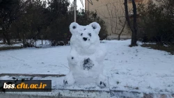 به مناسبت استقبال از  دهه فجر و شادی و شکر گذاری  از بارش نزولات آسمانی برگزار شد :
مسابقه ساخت آدم برفی 4