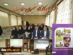 کارگاه سفیران سلامت