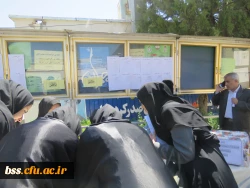 برگزاری انتخابات دبیر و اعضای شورای مرکزی کانونها و انجمن های دانشجویی پردیس 2