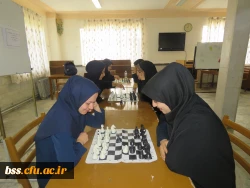 در پردیس بنت الهدئ کردستان برگزار شد:
مسابقه شطرنج انفرادی 9