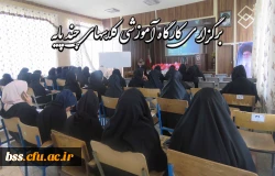 برگرزاری کارگاه آموزشی کلاسهای چندپایه