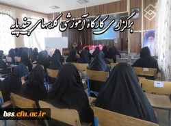 در پردیس بنت الهدی صدر سنندج برگزار گردید:

کارگاه آموزشی کلاسهای چندپایه 4