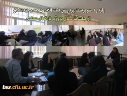 دفاع از پروژه