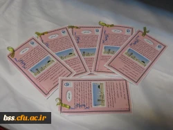 درخشش دانشجو معلمان کردستان در بیست و هفتمین جشنواره فرهنگی-اجتماعی دانشگاه فرهنگیان 5