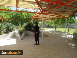 به مناسبت هفته تربیت بدنی برگزار شد:
مسابقه طنابزنی و دارت  و اعلام نتایج 3