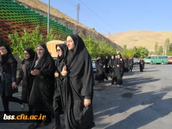 به مناسبت هفته تربیت بدنی برگزار شد
همایش پیاده روی با شرکت کارکنان ودانشجویان پردیس بنت الهدی صدر 2