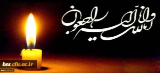 انالله و انالیه راجعون
سرکار خانم  خورده بینان ، استاد گرامی