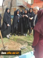 در پردیس بنت الهدی صدر برگزار شد:

مراسن روز درختکاری  2