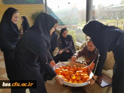 دیدار دانشجو معلمان پردیس بنت الهدی صدر سنندج  با مادران سرای سالمندان  2