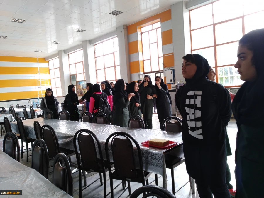 بازدید از مدارس از پردیس بنت الهدی صدر سنندج به مناسبت هفته مشاغل 3