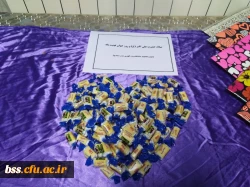 در پردیس بنت الهدی صدر سنندج برگزار شد:

جشن بزرگ نیمه شعبان 8