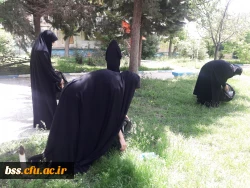 پاکسازی محوطه فضای سبز پردیس  به مناسبت هفته  سراهای  دانشجوئی بروایت تصویر 4