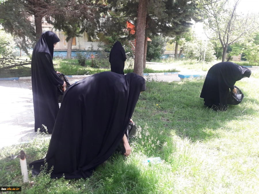 پاکسازی محوطه فضای سبز پردیس  به مناسبت هفته  سراهای  دانشجوئی بروایت تصویر 4