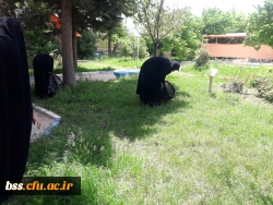 پاکسازی محوطه فضای سبز پردیس  به مناسبت هفته  سراهای  دانشجوئی بروایت تصویر 5