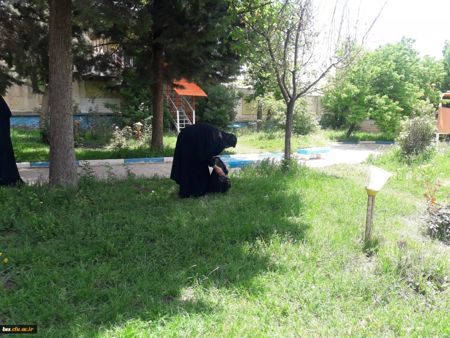 پاکسازی محوطه فضای سبز پردیس  به مناسبت هفته  سراهای  دانشجوئی بروایت تصویر 6