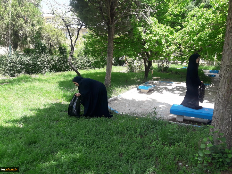 پاکسازی محوطه فضای سبز پردیس  به مناسبت هفته  سراهای  دانشجوئی بروایت تصویر 7
