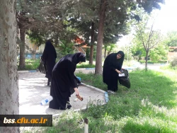 پاکسازی محوطه فضای سبز پردیس  به مناسبت هفته  سراهای  دانشجوئی بروایت تصویر 3