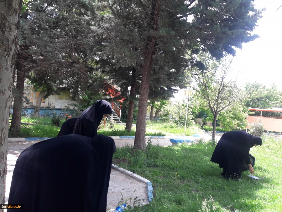 پاکسازی محوطه فضای سبز پردیس  به مناسبت هفته  سراهای  دانشجوئی بروایت تصویر 4