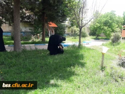 پاکسازی محوطه فضای سبز پردیس  به مناسبت هفته  سراهای  دانشجوئی بروایت تصویر 7