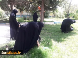 پاکسازی محوطه فضای سبز پردیس  به مناسبت هفته  سراهای  دانشجوئی بروایت تصویر 3