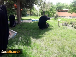 پاکسازی محوطه فضای سبز پردیس  به مناسبت هفته  سراهای  دانشجوئی بروایت تصویر 4