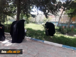 پاکسازی محوطه فضای سبز پردیس  به مناسبت هفته  سراهای  دانشجوئی بروایت تصویر 8