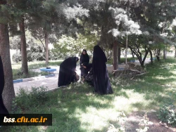 پاکسازی محوطه فضای سبز پردیس  به مناسبت هفته  سراهای  دانشجوئی بروایت تصویر 9