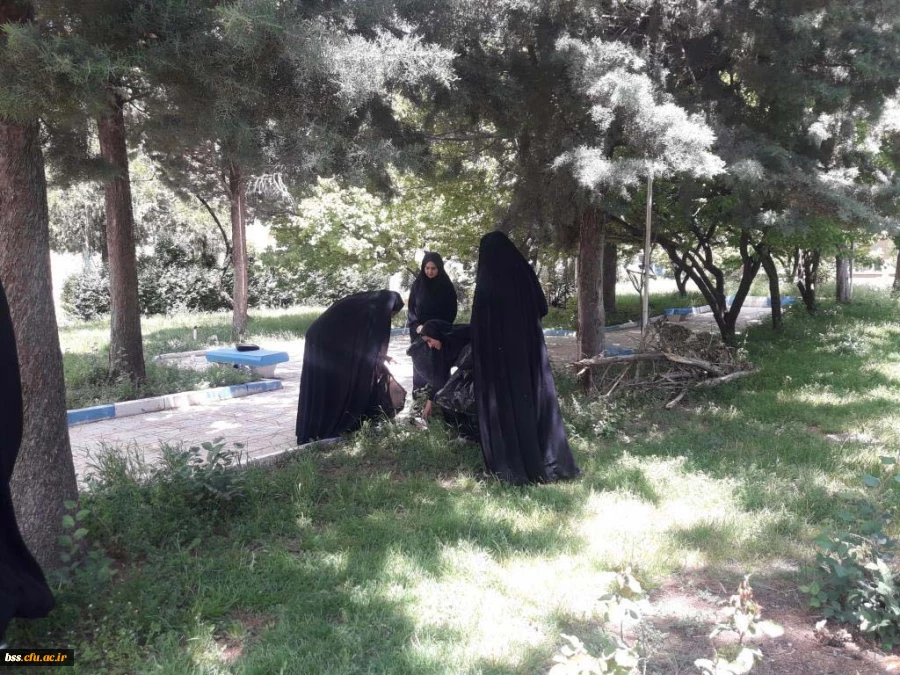 پاکسازی محوطه فضای سبز پردیس  به مناسبت هفته  سراهای  دانشجوئی بروایت تصویر 9