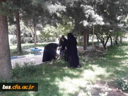 پاکسازی محوطه فضای سبز پردیس  به مناسبت هفته  سراهای  دانشجوئی بروایت تصویر 10
