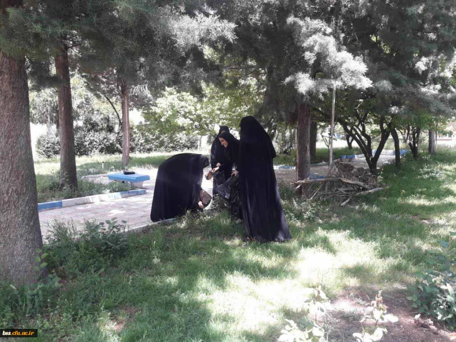 پاکسازی محوطه فضای سبز پردیس  به مناسبت هفته  سراهای  دانشجوئی بروایت تصویر 10