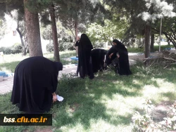 پاکسازی محوطه فضای سبز پردیس  به مناسبت هفته  سراهای  دانشجوئی بروایت تصویر 11