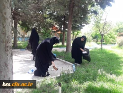 پاکسازی محوطه فضای سبز پردیس  به مناسبت هفته  سراهای  دانشجوئی بروایت تصویر 12
