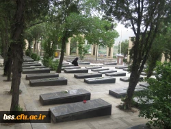 به مناسبت برگداشت سوم خرداد برگزار شد:
غبارروبی مزار شهدا 6