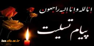 پیام تسلیت  دانشگاه فرهنگیان کردستان به مناسبت شهادت جمعی از پاسداران انقلاب اسلامی