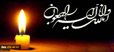 انا لله و انا الیه راجعون
جناب آقای فتحیان ، همکار گرامی