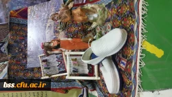 حضور دانشجویان پردیس بنت الهدی صدر در چهارمین گردهمایی رویش در مشهد مقدس و کسب مقام در بخش نشریات و غرفه آرایی به روایت تصویر 4