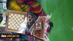 حضور دانشجویان پردیس بنت الهدی صدر در چهارمین گردهمایی رویش در مشهد مقدس و کسب مقام در بخش نشریات و غرفه آرایی به روایت تصویر 5