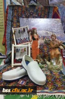 حضور دانشجویان پردیس بنت الهدی صدر در چهارمین گردهمایی رویش در مشهد مقدس و کسب مقام در بخش نشریات و غرفه آرایی به روایت تصویر 8