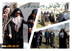 کاشت نهال به مناسبت روز درختکاری