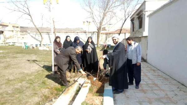 کاشت نهال به مناسبت روز درختکاری 7