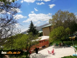 عکس از شکیلا علی پناه