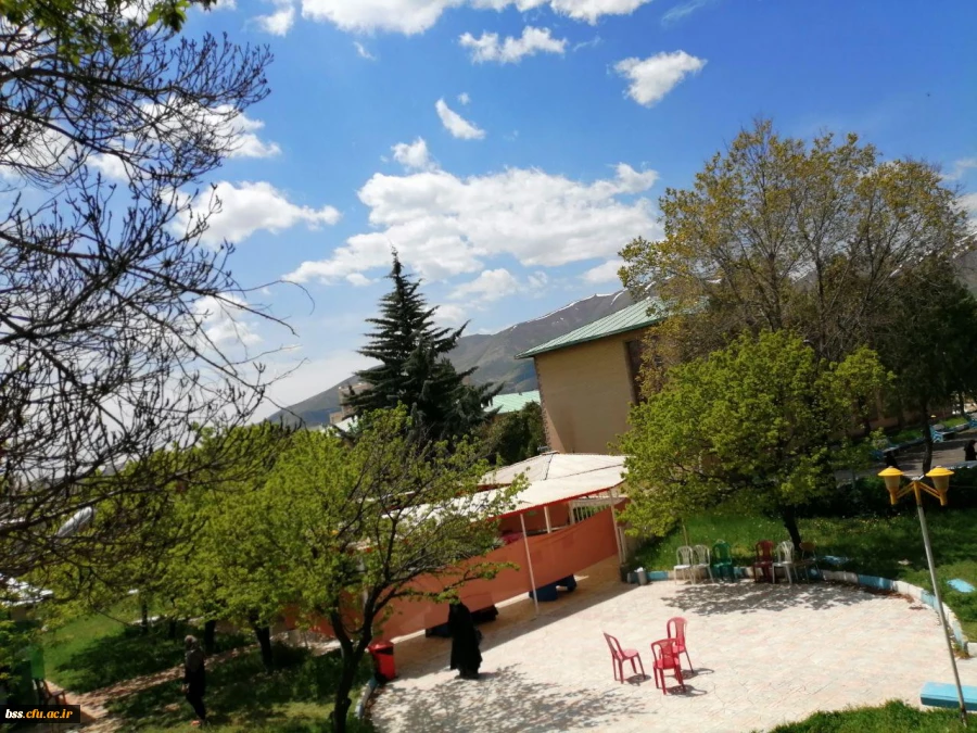 عکس از شکیلا علی پناه