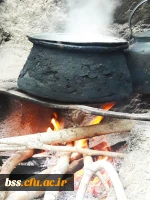 عکس از روژین سلیمان بیگی