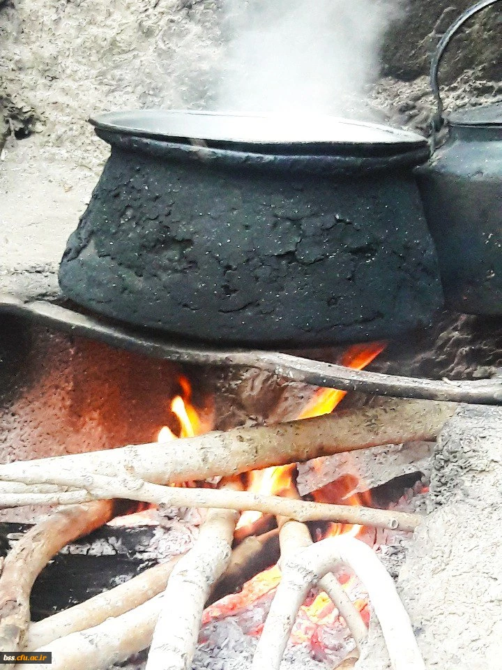 عکس از روژین سلیمان بیگی