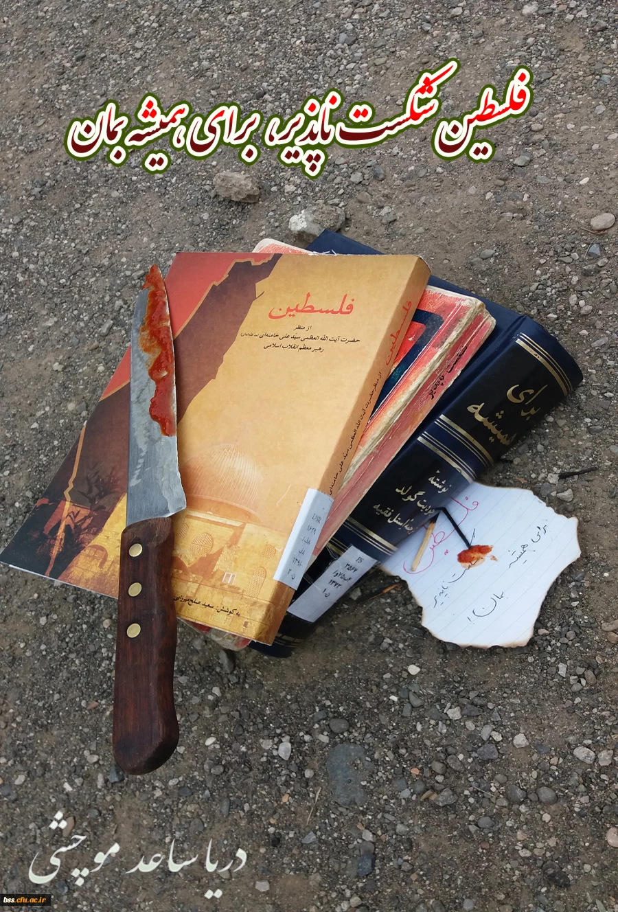 دریا ساعد موچشی